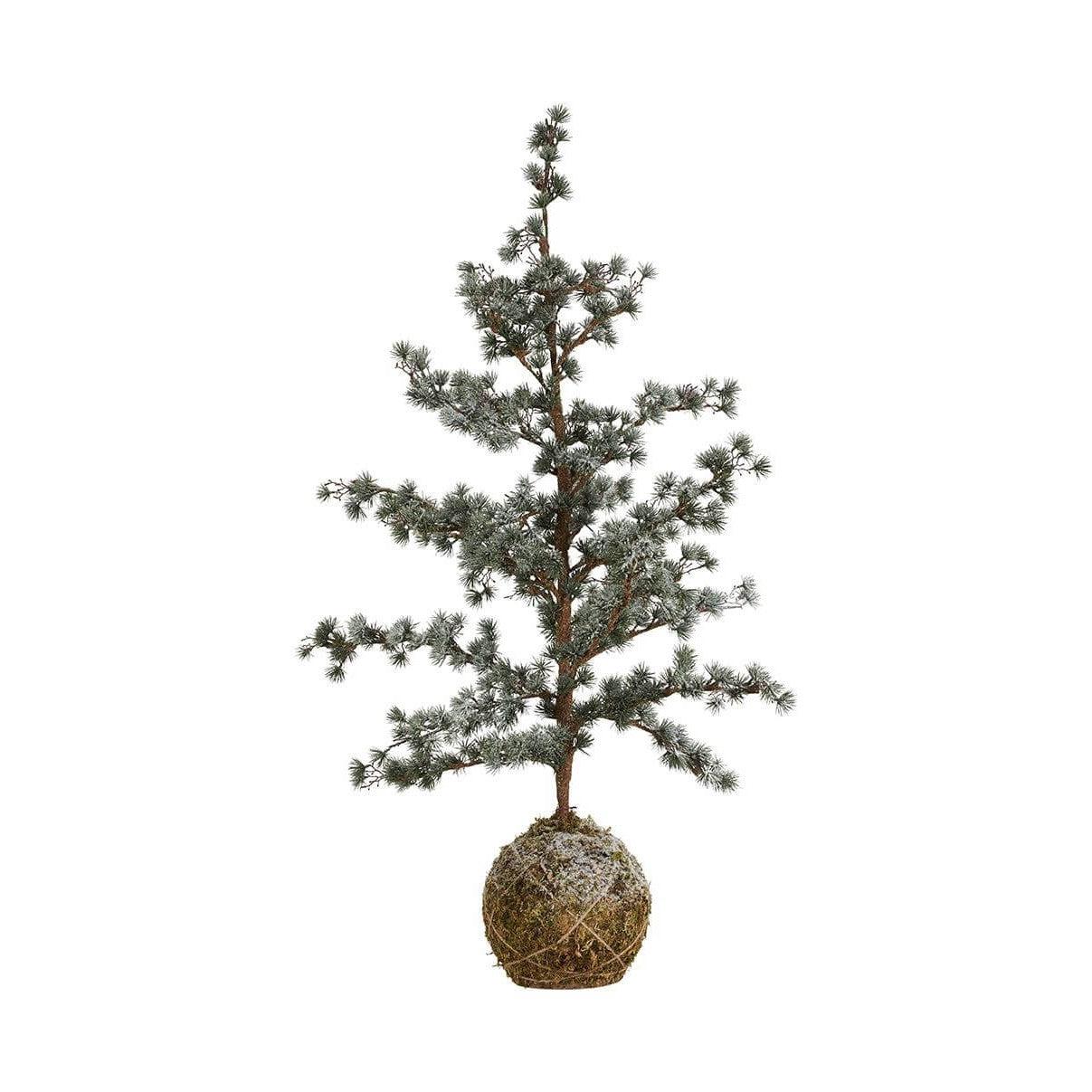 Cedertræ m. moskugle - 60 cm - grøn/is-2have-n-living.dk